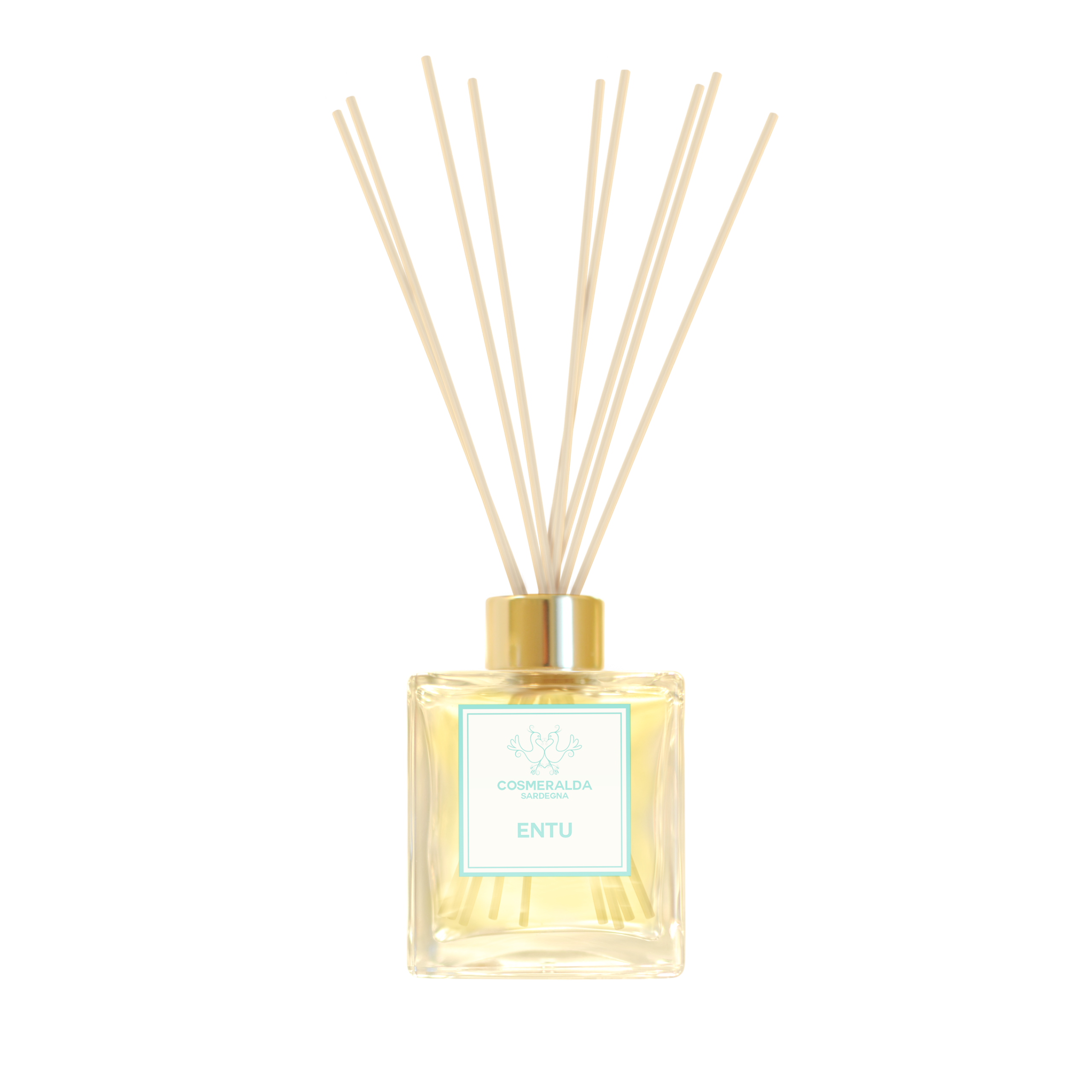 Entu home diffuser